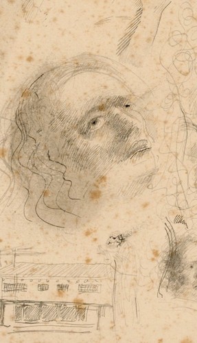 Willi schmid portrait - willi,