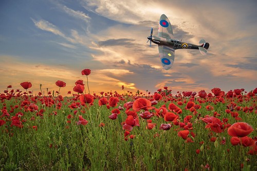 Bbmf spitfire over - bbmf, poppy
