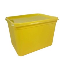 Yellow Rectangular Food