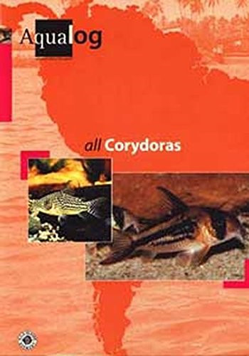 Aqualog all corydoras - corydoras,
