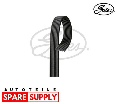 Ribbed belt for vw - belt,