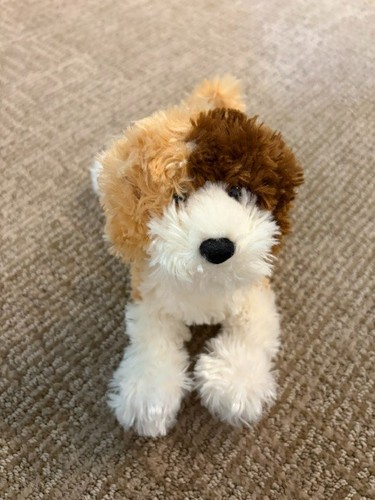 Douglas playful tricolor - douglas,
