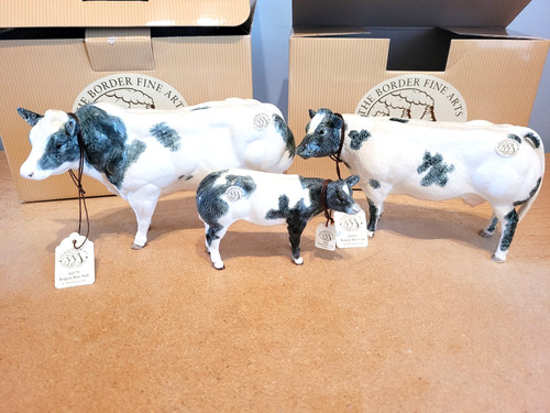 Border fine arts belgian blue - fine,