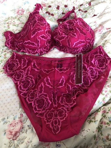 Bnwt splendour bra briefs - splendour, &