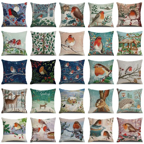 Christmas adorable robin bird - christmas,