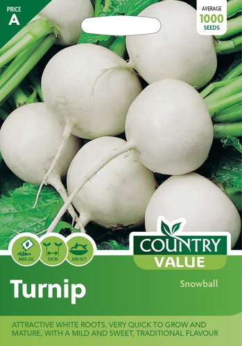 Turnip snowball 1000 - turnip, seeds