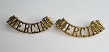 Mercian Regiment Staybrite
