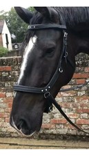 BITLESS MULTI BRIDLE & SNAFFLE