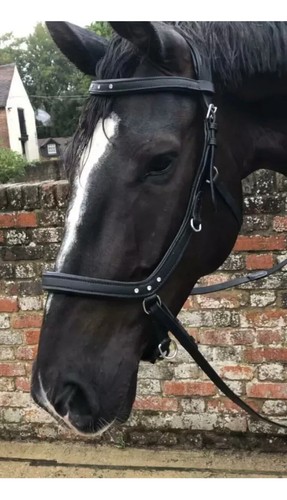 Bitless multi bridle - bitless,