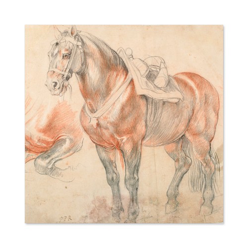 Rubens saddled horse large - horse,