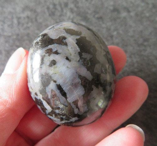 Rare indigo gabbro mystic - gabbro,