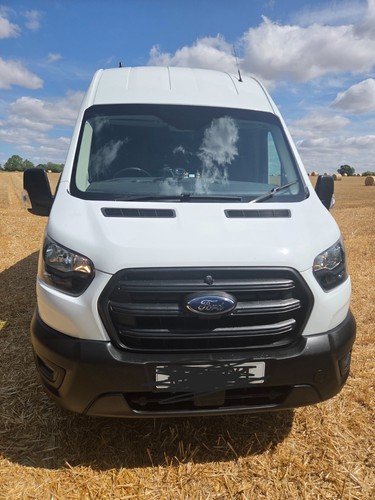 Dog van camper - dog,
