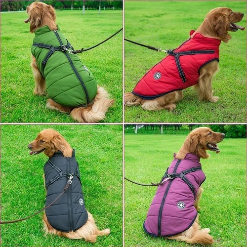 Dog coat waterproof with - dog,