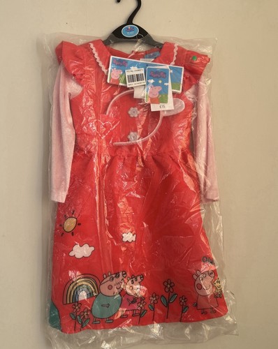 Peppa pig fancy dress - pig,