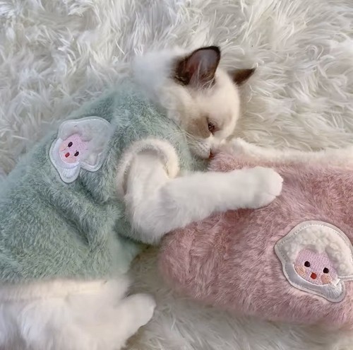 Cats accessories pets - accessories,