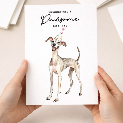 Whippet birthday card cute - birthday,