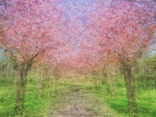 Spring avenue 12 - x, 12"