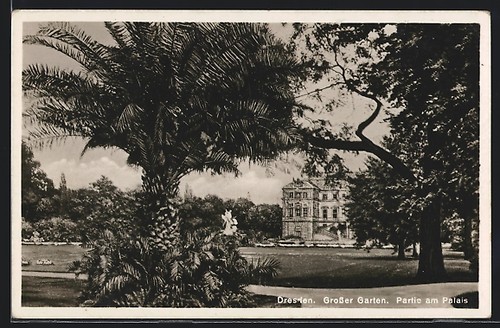 Postcard dresden large - dresden,,