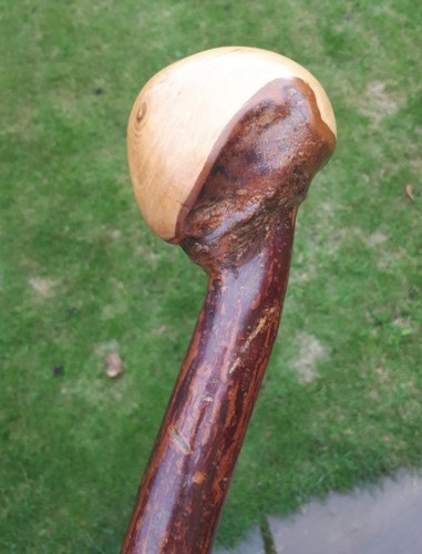 Blackthorn walking stick knob - blackthorn, stick.
