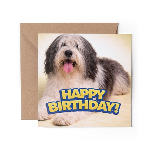 Polish lowland sheepdog - 1,