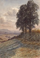 Fabian Colenutt - Watercolour