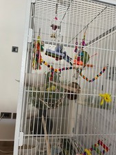 Large Wooden Bird Cage