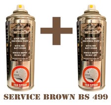 Service Brown Spray Paint BS