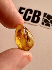 Baltic Amber With Insect Inclusion. 100% Real, No Fakes. Uk Seller 🇬🇧