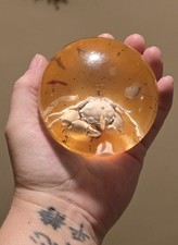 1970s Vintage Lucite Crab Ocean Paperweight Ornament