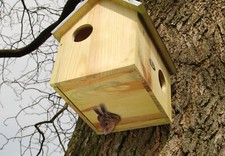 Wooden Wood Squirrel House