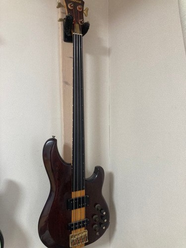 Fretless string electric - string,