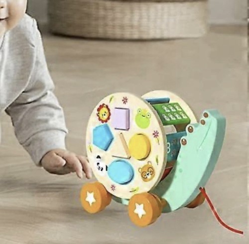 Wooden pull along shape sorter - pull,