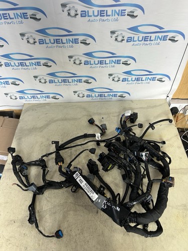 Kia niro mk2 sg2 2023 - 2023, hev