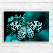 Butterfly On Flower Wings