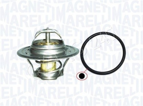 Magneti marelli coolant - magneti,
