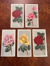 RJ Lea Chairman Cigarette Cards x 5 - Roses 1924 #18, 22, 39, 39 & 42, VGC