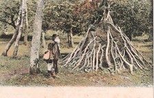 Hampshire New Forest BRUSHER