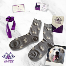 PYRENEAN MOUNTAIN DOG SOCKS FUN UNISEX ONE SIZE FIT UK 5 - 11 EU 38-46