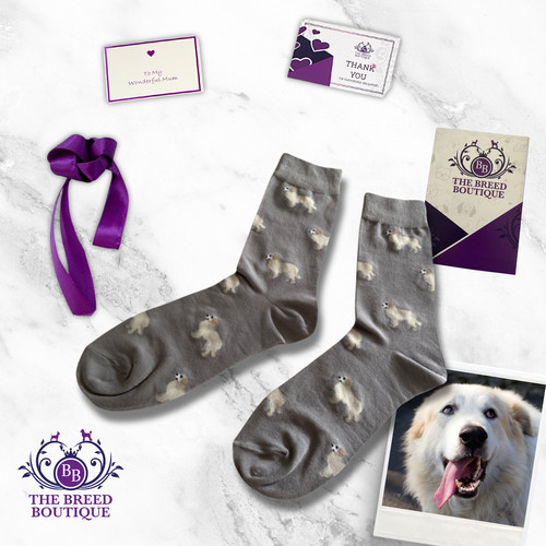 Pyrenean mountain dog socks - dog,