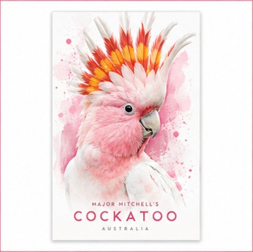 Major mitchell cockatoo - major,
