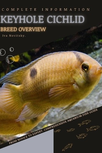 Iva novitsky keyhole cichlid - iva,