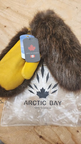 Arctic bay canada - bay, beaver