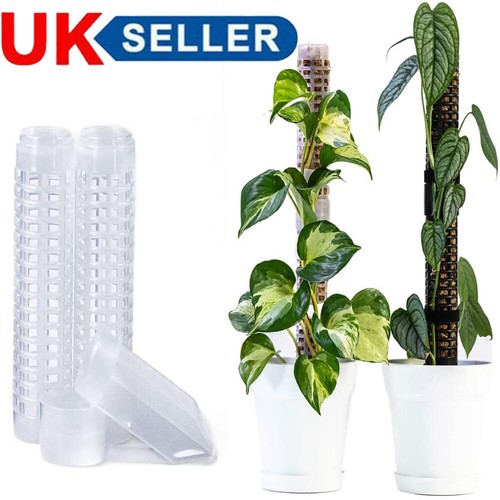 Moss poles for climbing - poles,