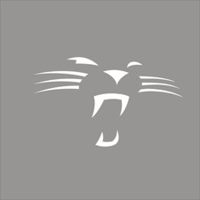 Carolina Panthers #8 NFL Team
