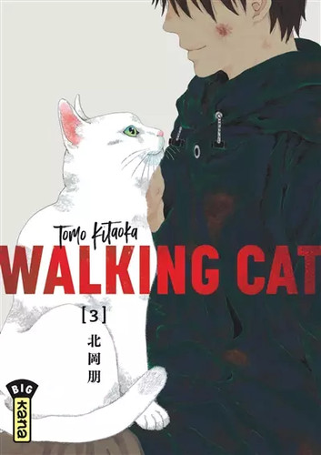 Walking cat tome tomo - walking,