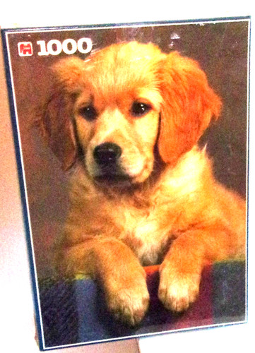 1000 jumbo piece jigsaw - jumbo,