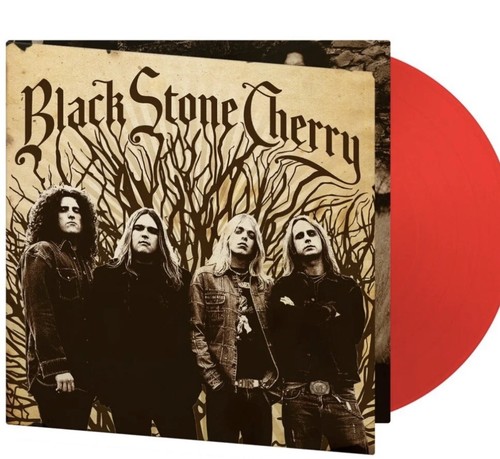 Black stone cherry - stone, –