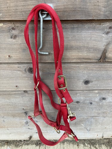 Controller headcollar red - headcollar,