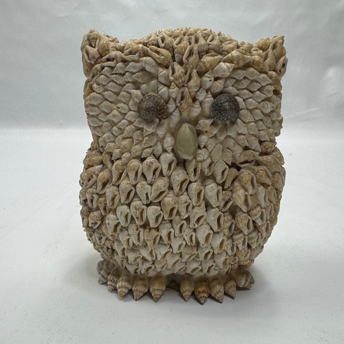 Unbranded seashell owl - owl, money