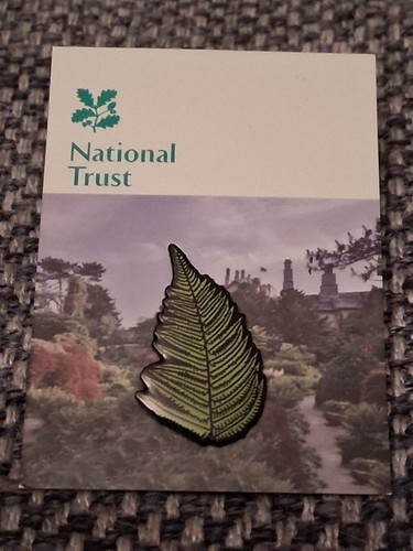 National trust sizergh fern - national,
